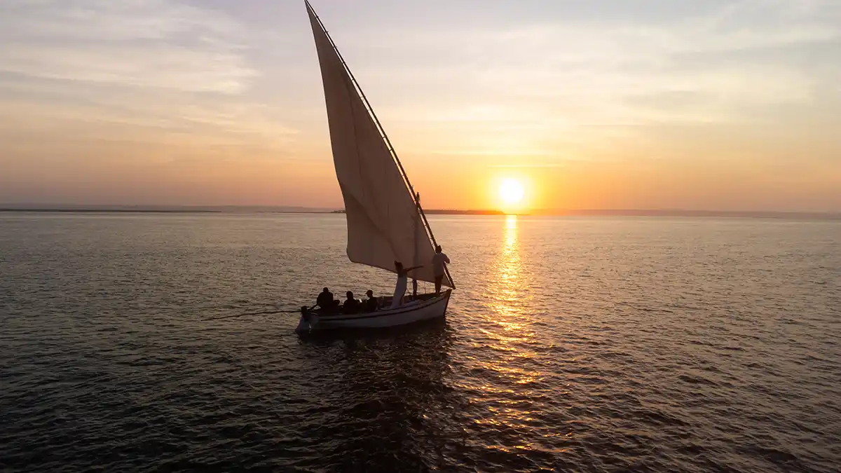 Boat Trip Experience Tofo