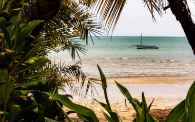 What Is The Best Time To Visit Mozambique?