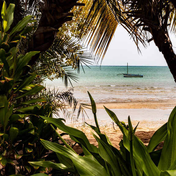 Mozambique beach view through palm trees