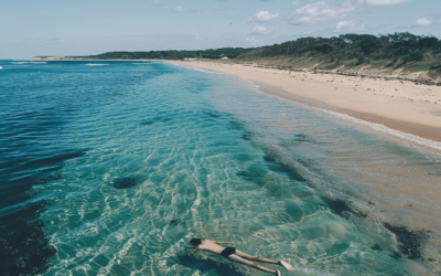 Can You Swim In Tofo Beach?