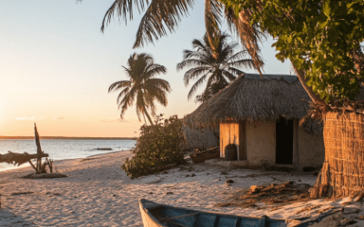 How To Get To Tofo Beach?